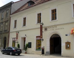 Hotel U císaře Zikmunda (Znojmo, República Checa)