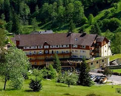 Schwarzwaldhotel Tanne (Baiersbronn, Almanya)