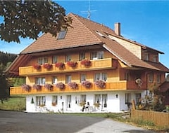 Khách sạn Hotel Hirschen (Schluchsee, Đức)