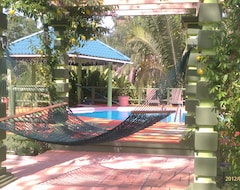 Otel Inn the Bush Eco-Jungle Lodge (San Ignacio, Belize)