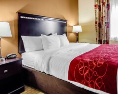 Khách sạn Comfort Suites East Louisville (Louisville, Hoa Kỳ)