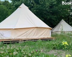 Kamp Alanı Campingul Apusenilor (Suncuius, Romanya)