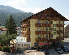 Khách sạn Dolomitenhotel Lienz (Lienz, Áo)