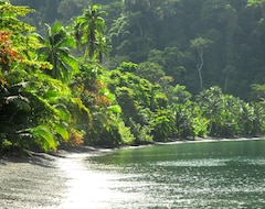 Hotel Playa Nicuesa Rainforest Lodge (Golfito, Kostarika)