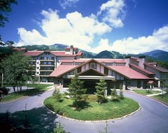 Khách sạn Hakuba Tokyu Hotel (Hakuba, Nhật Bản)
