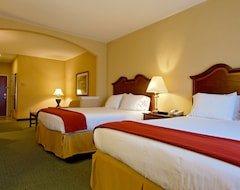 Holiday Inn Express Hotel & Suites San Antonio South (San Antonio, ABD)