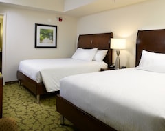 Hotel Hilton Garden Inn Roanoke (Roanoke, USA)