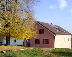 Pansiyon Merkez Guest House (Bizeljsko, Slovenya)