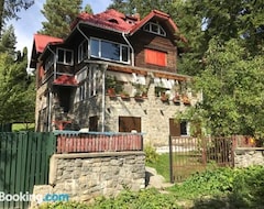 Toàn bộ căn nhà/căn hộ Apartamentul Ursilor (Predeal, Romania)