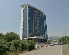 Samsun Palas Hotel (Samsun, Tyrkiet)