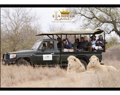 Khách sạn Elandela Private Game Reserve & Luxury Lodge (Hoedspruit, Nam Phi)