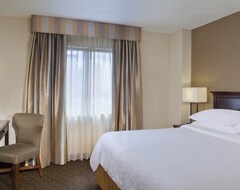 Hotel Embassy Suites by Hilton Dallas Near the Galleria (Dallas, USA)