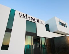 Hotel Vidasoul (San Jose del Cabo, Mexico)