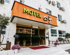 Hotel Boeun Picnic (Boeun, Corea del Sur)