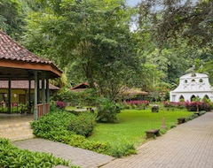 Hotel Villa Lapas Jungle Village (Herradura, Kostarika)
