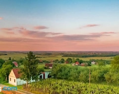 Cijela kuća/apartman Village Wine House (Drenje, Hrvatska)