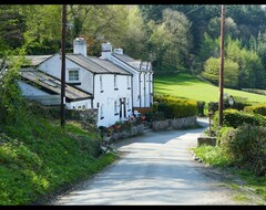 Koko talo/asunto Cosy Cottage In A Secluded Welsh Valley (St Asaph, Iso-Britannia)