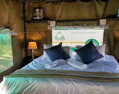 Kampiranje Tented Adventures Pretoriuskop Rest Camp (Nacionalni park Kruger, Južnoafrička Republika)