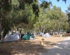 Kampiranje Camping Kea (Pises, Grčka)