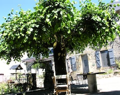 Bed & Breakfast The-Treetops Chambre d'hote (Saint-Hilaire-les-Courbes, Francia)