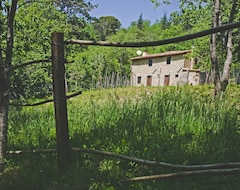 Toàn bộ căn nhà/căn hộ Cottage Set In Ancient Chestnut Grove (Villa Collemandina, Ý)