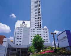 Loisir Hotel Toyohashi (Toyohashi, Japan)