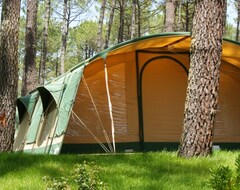 Kamp Alanı Country Camp Camping Eurosol (Vielle-Saint-Girons, Fransa)