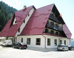 Guesthouse Pensiunea Leia (Cârţişoara, Romania)