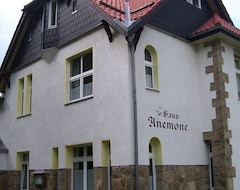 Tüm Ev/Apart Daire Heine Apartment-Friedegerns Fewo (Schierke, Almanya)