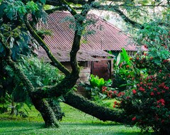 Hotel Ecovital Costa Rica (Jaco, Kostarika)