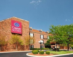 Otel Comfort Suites Cincinnati (Cincinnati, ABD)