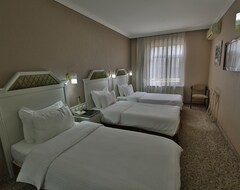 Hotel Selcuk (Konya, Turkey)