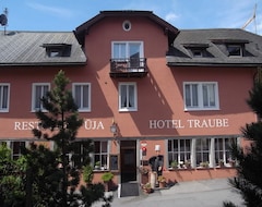 Khách sạn Hotel Traube (Scuol, Thụy Sỹ)