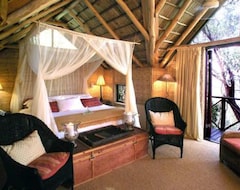 Hotel The Phantom Forest Eco-Reserve (Knysna, South Africa)
