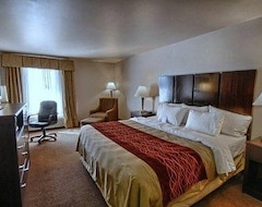 Hotel Comfort Inn & Suites (Fenton, USA)