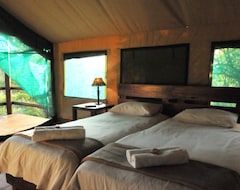 Khách sạn Sausage Tree Safari Camp (Hoedspruit, Nam Phi)