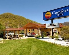 Gæstehus Comfort Inn near Great Smoky Mountain National Park (Maggie Valley, USA)