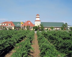 South Coast Winery Resort & Spa (Temecula, ABD)