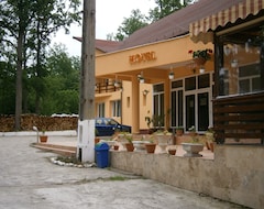 Hotel Doua Veverite (Baia Mare, Romania)
