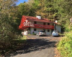 Hele huset/lejligheden Contemporary Alpine Living In A Charming Farmhouse (Fleischmanns, USA)