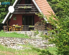 Toàn bộ căn nhà/căn hộ Holiday Home Petrovic (Tara National Park, Séc-bia)