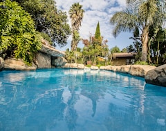 Guesthouse Summer Garden Guest House (The Palms) (Benoni, South Africa)