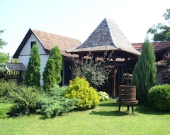 Pansion Salas Djordjevic (Palić, Srbija)
