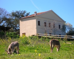 Toàn bộ căn nhà/căn hộ Monte Inni (Ozieri, Ý)