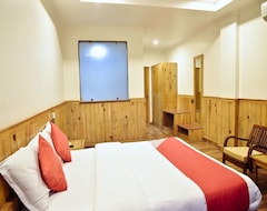 Hotel wood castle (Shimla, Indien)