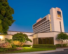 Hotel Hilton Tampa Airport Westshore (Tampa, USA)