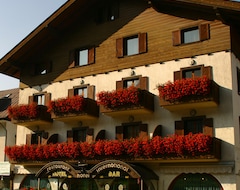 Khách sạn Hotel International (Tarvisio, Ý)