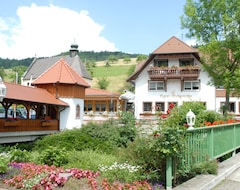 Otel Ludinmühle (Freiamt, Almanya)