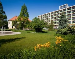 Aranyhomok Business-City-Wellness Hotel (Kečkemet, Mađarska)