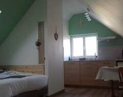 Cijela kuća/apartman Emma Studio (1/2 Persons) 40Min From Europapark, Air-Conditioned (Ottmarsheim, Francuska)